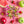 Load image into Gallery viewer, Sour Fruit Lollipops - 2 Pound Bulk Pack (About 36 Count) - Assorted Flavors - Gum Filled Pops - Individually Wrapped Halloween Candy - Kids' Party Favors