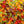 Load image into Gallery viewer, 3D Gummy Bears Candy, Assorted Fruit Flavors | 11-Ounce Bag
