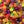 Load image into Gallery viewer, 3D Gummy Candy Assorted Fruit-Shaped | 11-Ounce Bag