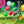 Load image into Gallery viewer, Crunchy Gummy Stars Candy, Sour Gummy Candy - 10 Packs
