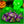 Load image into Gallery viewer, Ewww Beans Gross Jelly Beans - 60 Count Bag (12 Oz) - Weird Candy - Nasty Flavors - Halloween Candy Individually Wrapped - Prank Candies for Challenge Party Games by Funtasty
