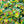 Load image into Gallery viewer, Crunchy Gummy Stars Candy, Sour Gummy Candy - 10 Packs
