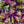 Load image into Gallery viewer, Ewww Beans Gross Jelly Beans - 60 Count Bag (12 Oz) - Weird Candy - Nasty Flavors - Halloween Candy Individually Wrapped - Prank Candies for Challenge Party Games by Funtasty
