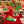 Load image into Gallery viewer, Christmas Lollipops, Individually Wrapped Candy for Holiday Parties, 40 Count Pack
