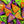 Load image into Gallery viewer, Halloween Popping Candy - 40 Count Pack
