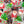 Load image into Gallery viewer, Merry Lollipops, Christmas Candy Individually Wrapped - 15 Count Pack
